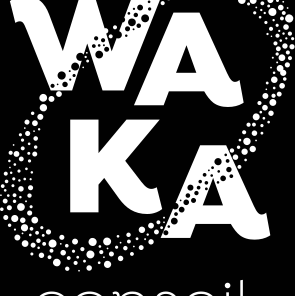 waka-conseil-logo-rvb-blanc.width-500